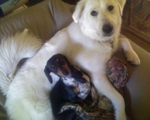 With Her Cousin Kyler