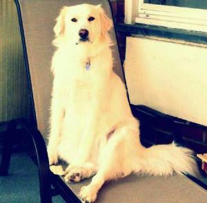 Lounging on the Balcony
