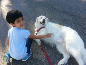 ...Or a Belly Rub...